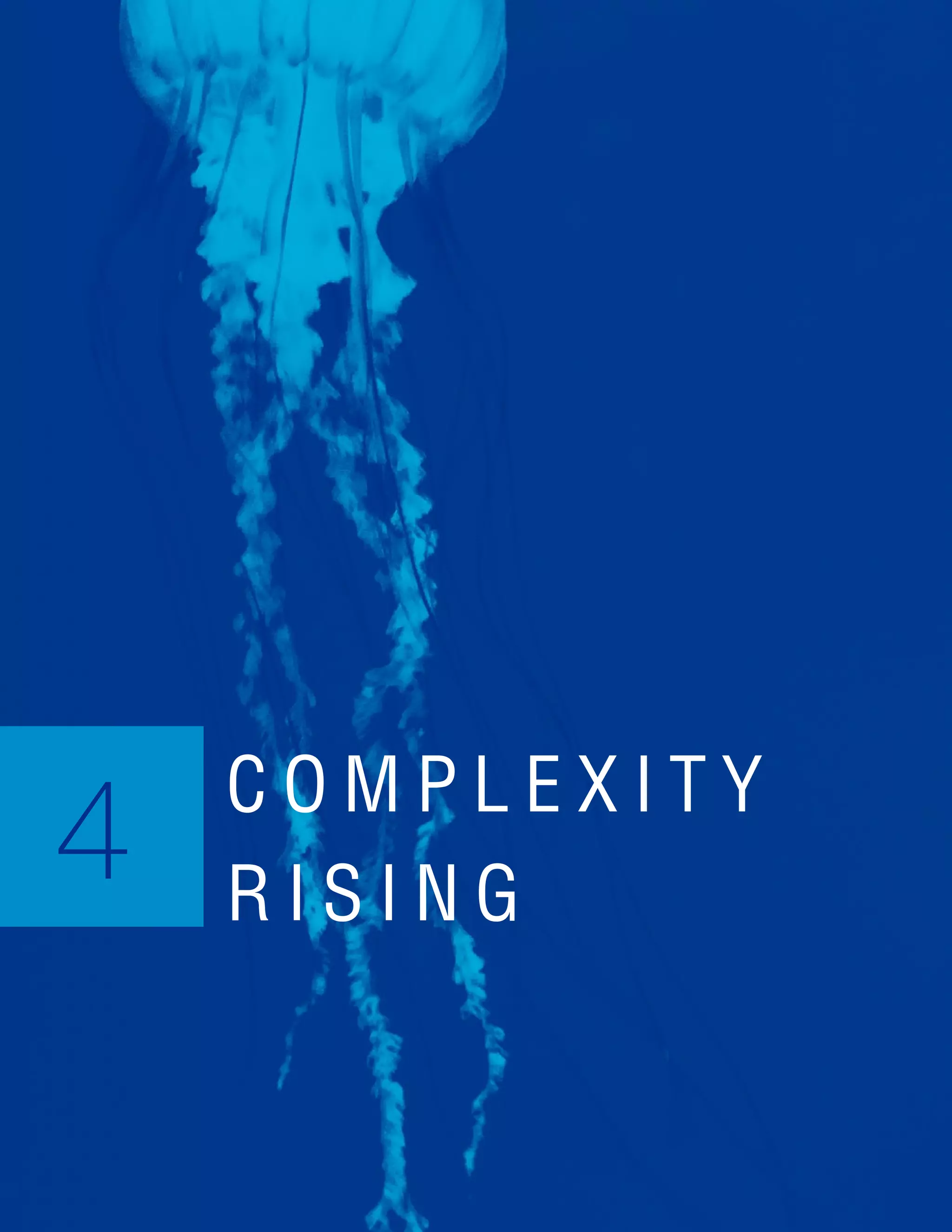 30
C O M P L E X I T Y
R I S I N G
4
 