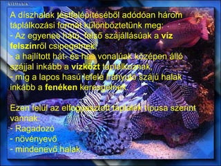 A díszhalak testfelépítéséből adódóan három táplálkozási formát különböztetünk meg: Az egyenes hátú, felső szájállásúak a  víz felszín ről csipegetnek, a hajlított hát- és has vonalúak középen álló szájjal inkább a  vízközt  táplálkoznak, míg a lapos hasú lefelé irányuló szájú halak inkább a  fenéken  keresgélnek. Ezen felül az elfogyasztott táplálék típusa szerint vannak: Ragadozó növényevő mindenevő halak.  
