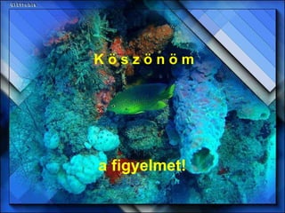 K ö s z ö n ö m a figyelmet! 