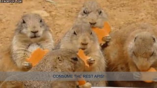 CONSUME THE REST APIS!
 