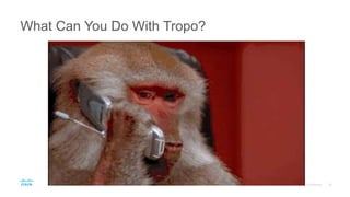What Can You Do With Tropo?
 