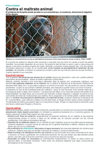 ÉTICA CANINA
Contra el maltrato animal
El problema del atropello animal persiste en una sociedad que, en ocasiones, desconoce la magnitud
de los abusos.
Maltratar no es la solución frente a un acto de indisciplina de una mascota. Existen varias formas de corregir sin abusar. Foto: 123RF
Al momento de analizar la relación entre personas y mascotas, hay que tener en cuenta un punto de partida
ineludible: los animales dependen de sus amos. Se acepta la idea de traer un perro o gato a casa porque de
alguna u otra forma, se tiene la ilusión de cuidar, alimentar y consentir a estos peludos que, a fin de cuentas,
no pueden valerse por sí solos. En un mundo ideal, el ser humano es precisamente el ‘protector’ de sus
animales. No obstante, lo anterior no siempre se cumple y cada vez son más los casos en los que hombres y
mujeres agreden a sus mascotas.
El perfil del ‘mal amo’
“Por lo general, las personas que abusan de un animal carecen de educación o, peor aún, pueden padecer
desordenes de personalidad”, explica el médico veterinario Carlos Riaño.
Además, quienes someten a sus mascotas a diferentes tipos de agravio son, usualmente, individuos que
también han padecido maltratos en su infancia. Así lo explica la directora de la Asociación Defensora de
Animales ADA, Marta Ciro, “el que patea o golpea a un animal, lo ha vivido. Ha sido víctima en casade violencia
intrafamiliar. Lo peor es que primero maltratan animales, pero después lo pueden hacer con seres humanos”.
El abandono es otra de las manifestaciones del maltrato y, quizá, la más frecuente. Esto también habla de la
psicología de quien lo elige como ‘solución’: “Las personas que dejan a sus mascotas carecen del sentido de la
responsabilidad. Se dejan llevar por la emoción del momento. Cuando adquieren o adoptan al animal no son
conscientes de todas las implicaciones que conlleva. No se preguntan si de verdad podrán cuidarlo todos los
días o si tendrán recursos para la alimentación y la salud del animal y al primer obstáculo se deshacen de
él”, comenta Marta, quien además confiesa una cifra alarmante: el refugio de ADA recibe a diario alrededor de
10 solicitudes de dueños que quieren dejar a su mascota en el lugar. El lugar no soporta toda la demanda, pues
solo tienen cabida para 50 gatos y 50 perros.
Tipos de maltrato
Además de los golpes, existen numerosas maneras de causarle daño a un animal, que van precisamente desde
abandonarlo hasta dejarlo encerrado o no brindarle la asistencia necesaria en un momento oportuno. El
médico veterinario Carlos Riaño explica las más comunes:
 Encierro con fines de comercio, especialmente en especies silvestres. Es un maltrato al que estamos
acostumbrados porque lo vemos a diario en las tiendas que no siempre cumplen con las normas
establecidas. Esto altera el ecosistema del país.
 Sacarlos de su ambiente natural. Es un maltrato de gran magnitud, pues es muy difícil para las especies
silvestres adaptarse a nuevas formas de vida que por lo general responden a hábitos citadinos que nada
tienen que ver con su cotidianidad.
 No suministrar la alimentación adecuada y el agua necesaria: las mascotas dependen de nosotros para
sobrevivir. Saltarse este paso es también una forma de maltrato y muchos lo desconocen.
 Dejar al animal a la intemperie con frío, sol o lluvia: ya sea en el patio de la casa, encerrado en el carro,
o inclusive, en fincas o guarderías con condiciones precarias. No hay que olvidar que ellos también sufren
de frío y de calor, que la lluvia les incomoda y que a muchos los rayos los asustan.
 Descuidar su salud, no vacunarlos, no suministrarles medicamentos, no darles su dosis mínima de
ejercicio diario ni permitirles socializar. Todas estas son prácticas negativas que dejan consecuencias
psicológicas en las mascotas.
 