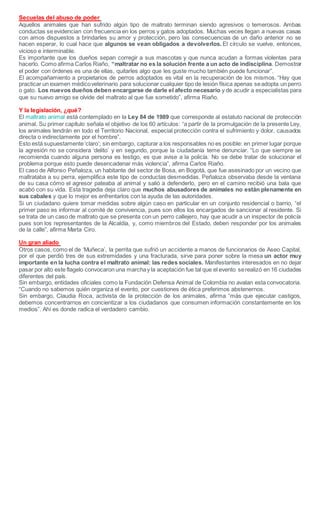 Secuelas del abuso de poder
Aquellos animales que han sufrido algún tipo de maltrato terminan siendo agresivos o temerosos. Ambas
conductas se evidencian con frecuencia en los perros y gatos adoptados. Muchas veces llegan a nuevas casas
con amos dispuestos a brindarles su amor y protección, pero las consecuencias de un daño anterior no se
hacen esperar, lo cual hace que algunos se vean obligados a devolverlos. El círculo se vuelve, entonces,
vicioso e interminable.
Es importante que los dueños sepan corregir a sus mascotas y que nunca acudan a formas violentas para
hacerlo. Como afirma Carlos Riaño, “maltratar no es la solución frente a un acto de indisciplina. Demostrar
el poder con órdenes es una de ellas, quitarles algo que les guste mucho también puede funcionar”.
El acompañamiento a propietarios de perros adoptados es vital en la recuperación de los mismos. “Hay que
practicar un examen médicoveterinario para solucionar cualquier tipo de lesión física apenas seadopta un perro
o gato. Los nuevos dueños deben encargarse de darle el afecto necesario y de acudir a especialistas para
que su nuevo amigo se olvide del maltrato al que fue sometido”, afirma Riaño.
Y la legislación, ¿qué?
El maltrato animal está contemplado en la Ley 84 de 1989 que corresponde al estatuto nacional de protección
animal. Su primer capítulo señala el objetivo de los 60 artículos: “a partir de la promulgación de la presente Ley,
los animales tendrán en todo el Territorio Nacional, especial protección contra el sufrimiento y dolor, causados
directa o indirectamente por el hombre”.
Esto está supuestamente‘claro’; sin embargo, capturar a los responsables no es posible: en primer lugar porque
la agresión no se considera ‘delito’ y en segundo, porque la ciudadanía teme denunciar. “Lo que siempre se
recomienda cuando alguna persona es testigo, es que avise a la policía. No se debe tratar de solucionar el
problema porque esto puede desencadenar más violencia”, afirma Carlos Riaño.
El caso de Alfonso Peñaloza, un habitante del sector de Bosa, en Bogotá, que fue asesinado por un vecino que
maltrataba a su perra, ejemplifica este tipo de conductas desmedidas. Peñaloza observaba desde la ventana
de su casa cómo el agresor pateaba al animal y salió a defenderlo, pero en el camino recibió una bala que
acabó con su vida. Esta tragedia deja claro que muchos abusadores de animales no están plenamente en
sus cabales y que lo mejor es enfrentarlos con la ayuda de las autoridades.
Si un ciudadano quiere tomar medidas sobre algún caso en particular en un conjunto residencial o barrio, “el
primer paso es informar al comité de convivencia, pues son ellos los encargados de sancionar al residente. Si
se trata de un caso de maltrato que se presenta con un perro callejero, hay que acudir a un inspector de policía
pues son los representantes de la Alcaldía, y, como miembros del Estado, deben responder por los animales
de la calle”, afirma Marta Ciro.
Un gran aliado
Otros casos, como el de ‘Muñeca’, la perrita que sufrió un accidente a manos de funcionarios de Aseo Capital,
por el que perdió tres de sus extremidades y una fracturada, sirve para poner sobre la mesa un actor muy
importante en la lucha contra el maltrato animal: las redes sociales. Manifestantes interesados en no dejar
pasar por alto este flagelo convocaron una marchay la aceptación fue tal que el evento serealizó en 16 ciudades
diferentes del país.
Sin embargo, entidades oficiales como la Fundación Defensa Animal de Colombia no avalan esta convocatoria.
“Cuando no sabemos quién organiza el evento, por cuestiones de ética preferimos abstenernos.
Sin embargo, Claudia Roca, activista de la protección de los animales, afirma “más que ejecutar castigos,
debemos concentrarnos en concientizar a los ciudadanos que consumen información constantemente en los
medios”. Ahí es donde radica el verdadero cambio.
 