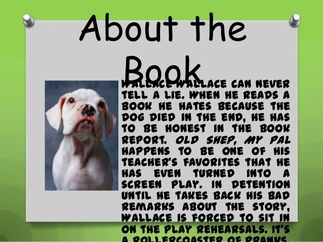 No more dead dogs theme image