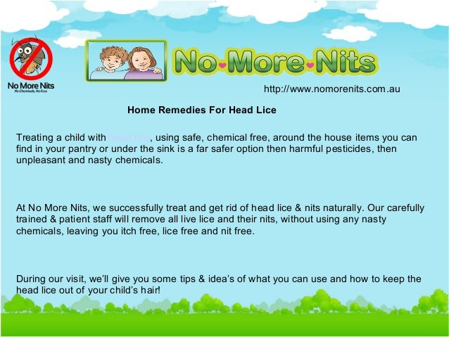 Home Remedy For Killing Lice On Furniture Home Remedy For Killing Lice On Furniture
