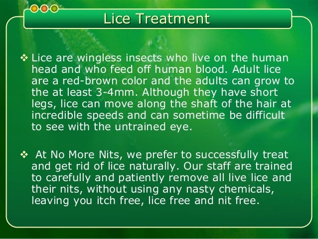 How To Treat Nits Naturally How To Treat Nits Naturally