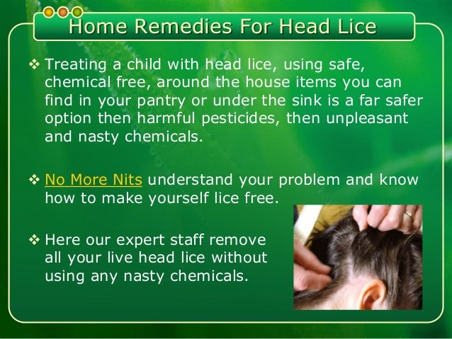 No More Nits: Get Relief Form Lice and Nits