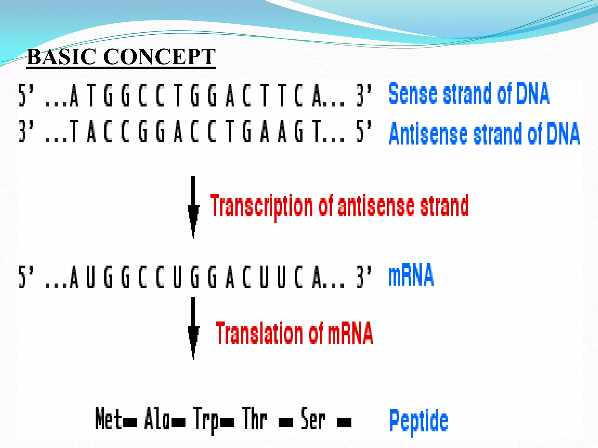 BIOPHARMACEUTICS OF ANTISENSE MOLECULE AND APTAMERS | PDF