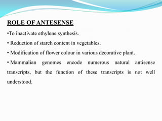 ROLE OF ANTESENSE
•To inactivate ethylene synthesis.
• Reduction of starch content in vegetables.
• Modification of flower colour in various decorative plant.
• Mammalian genomes encode numerous natural antisense
transcripts, but the function of these transcripts is not well
understood.
 