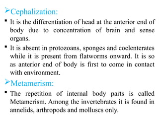 General characteristics of Non-Chordata.pptx