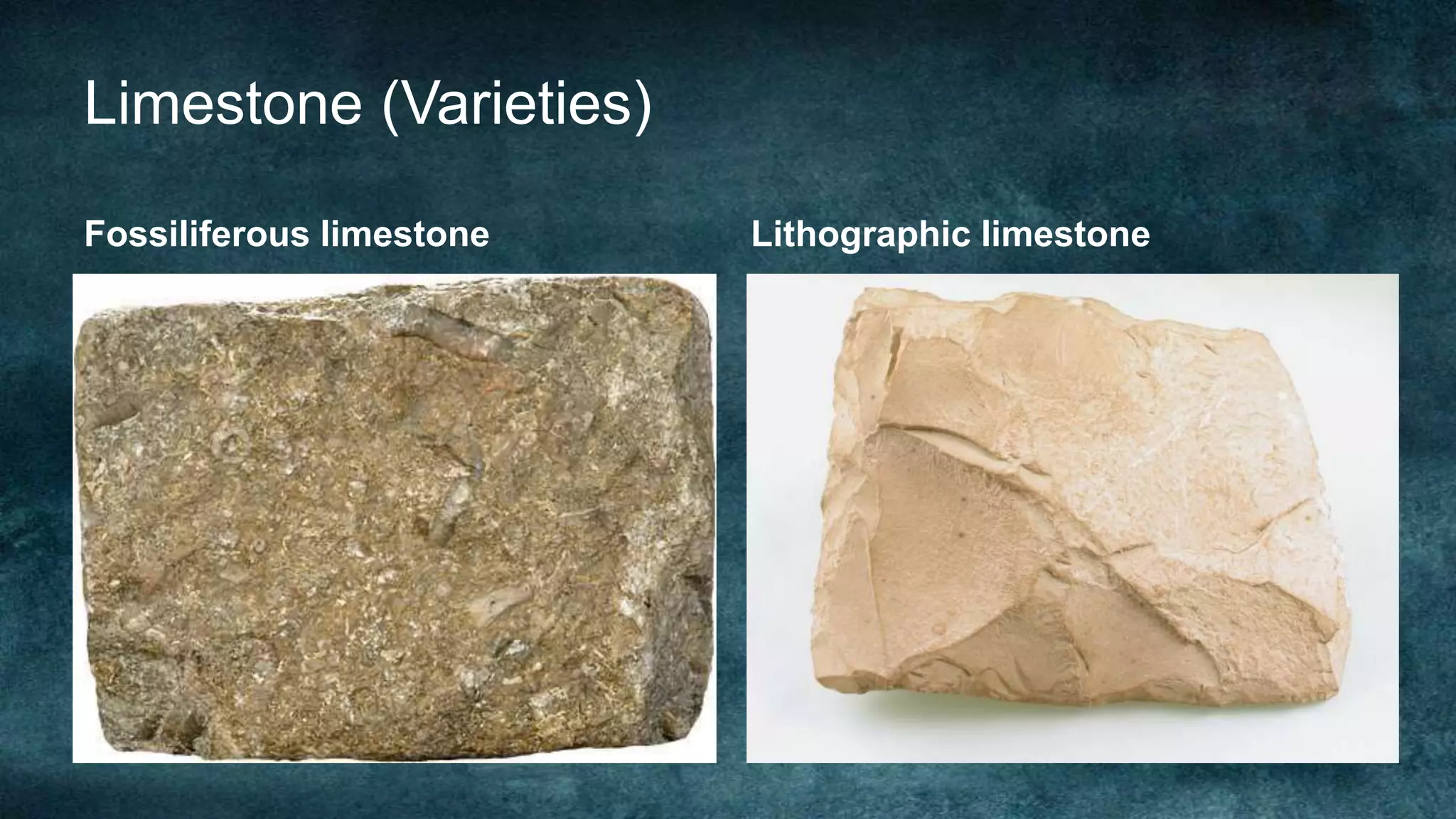 Non Clastic Sedimentary Rocks Examples