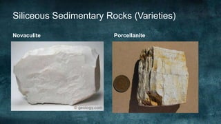 Non clastic sedimentary rocks | PPTX