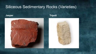 Non Clastic Sedimentary Rocks