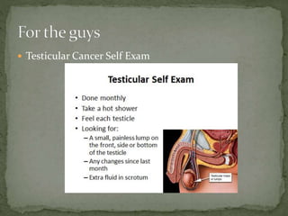  Testicular Cancer Self Exam
 