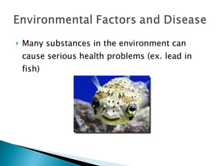 Many substances in the environment can cause serious health problems (ex. lead in fish) 