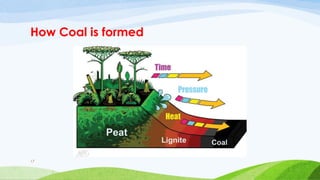 How Coal is formed
17
 