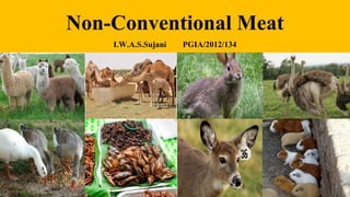 Non-Conventional Meat
I.W.A.S.Sujani PGIA/2012/134
 