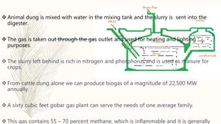  Animal dung is mixed with water in the mixing tank and the slurry is sent into the
digester.
 The gas is taken out through the gas outlet and used for heating and lighting
purposes.
 The slurry left behind is rich in nitrogen and phosphorus and is used as manure for
crops.
 From cattle dung alone we can produce biogas of a magnitude of 22,500 MW
annually.
 A sixty cubic feet gobar gas plant can serve the needs of one average family.
 This gas contains 55 – 70 percent methane, which is inflammable and it is generally
 