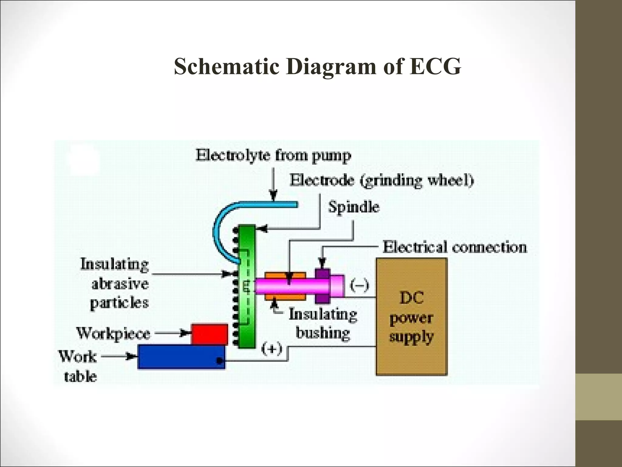 Schematic Diagram of ECG
 