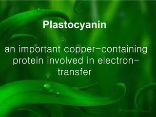 Plastocyanin   an important copper-containing protein involved in electron-transfer   