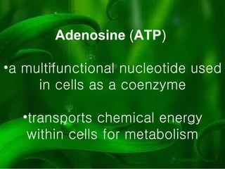 Adenosine  ( ATP )  a multifunctional nucleotide used in cells as a coenzyme transports chemical energy within cells for metabolism 