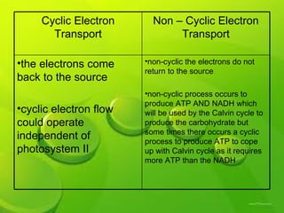 Non Cyclic Transport | PPT