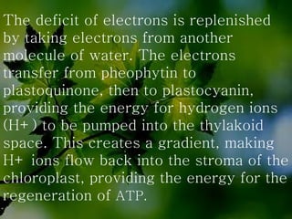 The deficit of electrons is replenished by taking electrons from another molecule of water. The electrons transfer from pheophytin to plastoquinone, then to plastocyanin, providing the energy for hydrogen ions (H+) to be pumped into the thylakoid space. This creates a gradient, making H+ ions flow back into the stroma of the chloroplast, providing the energy for the regeneration of  ATP. 