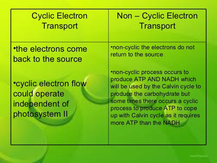 non cyclic amp molecule