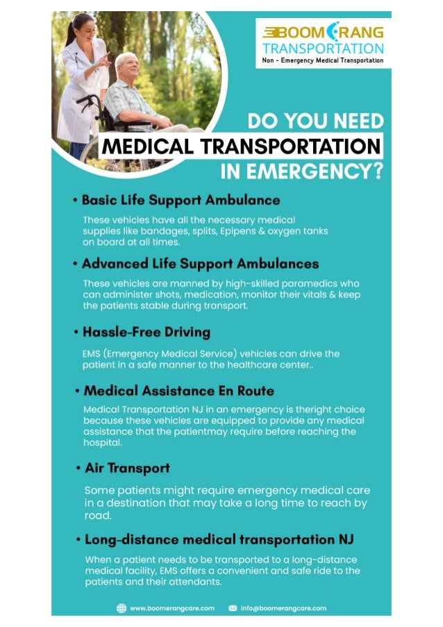 non emergency transportation business plan