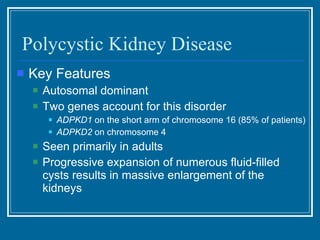 Polycystic Kidney Disease Key Features Autosomal dominant Two genes account for this disorder  ADPKD1  on the short arm of chromosome 16 (85% of patients) ADPKD2  on chromosome 4 Seen primarily in adults Progressive expansion of numerous fluid-filled cysts results in massive enlargement of the kidneys 