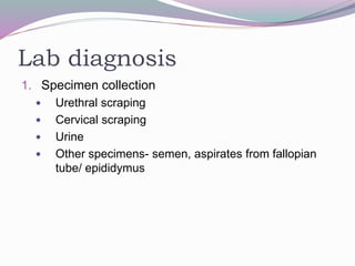 Lab diagnosis
1. Specimen collection
 Urethral scraping
 Cervical scraping
 Urine
 Other specimens- semen, aspirates from fallopian
tube/ epididymus
 
