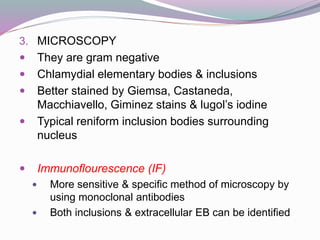 3. MICROSCOPY
 They are gram negative
 Chlamydial elementary bodies & inclusions
 Better stained by Giemsa, Castaneda,
Macchiavello, Giminez stains & lugol’s iodine
 Typical reniform inclusion bodies surrounding
nucleus
 Immunoflourescence (IF)
 More sensitive & specific method of microscopy by
using monoclonal antibodies
 Both inclusions & extracellular EB can be identified
 