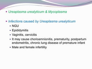  Ureaplasma urealyticum & Mycoplasma
 Infections caused by Ureaplasma urealyticum
 NGU
 Epididymitis
 Vaginitis, cervicitis
 It may cause chorioamnionitis, prematurity, postpartum
endometritis, chronic lung disease of premature infant
 Male and female infertility
 