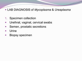  LAB DIAGNOSIS of Mycoplasma & Ureaplasma
1. Specimen collection
 Urethral, vaginal, cervical swabs
 Semen, prostatic secretions
 Urine
 Biopsy specimen
 