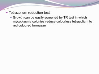  Tetrazolium reduction test
 Growth can be easily screened by TR test in which
mycoplasma colonies reduce colourless tetrazolium to
red coloured formazan
 
