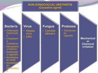 Bacteria
• Chlamadia
trachomati
s
• Ureaplasm
a
urealyticus
• Mycoplasm
a hominis
• Gardnerell
a vaginalis
• Acinetobac
ter wolfii
• Acinetobac
ter
caloaceticu
s
Virus
• Herpes
virus
• CMV
Fungus
• Candida
albicans
Protozoa
• Trachomon
as
vaginalis
Mechanical
or
Chemical
irritation
NON-GONOCOCCAL URETHRITIS
(Causative agent)
 