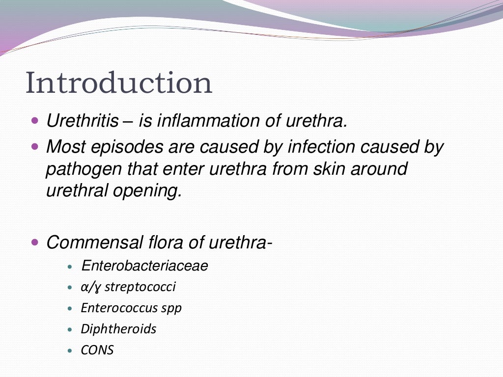 Non gonococcal urethritis