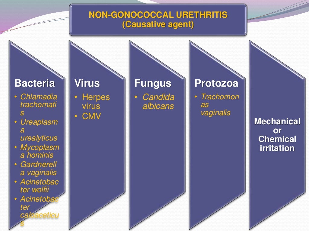 Non gonococcal urethritis