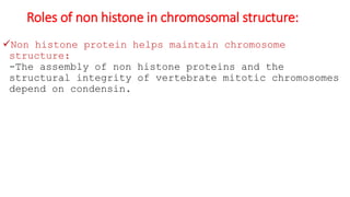 Roles of non histone in chromosomal structure:
Non histone protein helps maintain chromosome
structure:
-The assembly of non histone proteins and the
structural integrity of vertebrate mitotic chromosomes
depend on condensin.
 