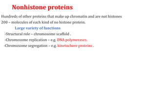 Nonhistone proteins
Hundreds of other proteins that make up chromatin and are not histones
200 – molecules of each kind of no histone protein.
Large variety of functions
-Structural role – chromosome scaffold .
-Chromosome replication – e.g. DNA polymerases.
-Chromosome segregation – e.g. kinetochore proteins .
 
