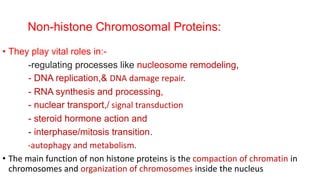 Non-histone Chromosomal Proteins:
• They play vital roles in:-
-regulating processes like nucleosome remodeling,
- DNA replication,& DNA damage repair.
- RNA synthesis and processing,
- nuclear transport,/ signal transduction
- steroid hormone action and
- interphase/mitosis transition.
-autophagy and metabolism.
• The main function of non histone proteins is the compaction of chromatin in
chromosomes and organization of chromosomes inside the nucleus
 