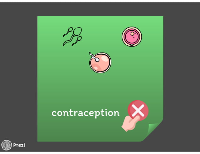 contraception no hormones