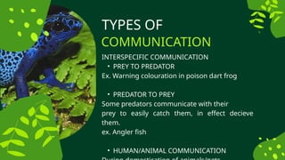 Predator Communicator NON-HUMAN COMMUNICATION in LANGUAGE, CULTURE and SOCIETY .pptx