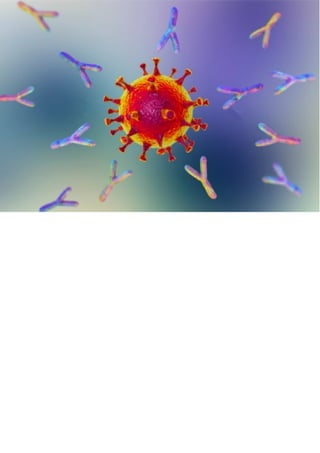 Non-IgG Antibody Developability Improvement.pdf