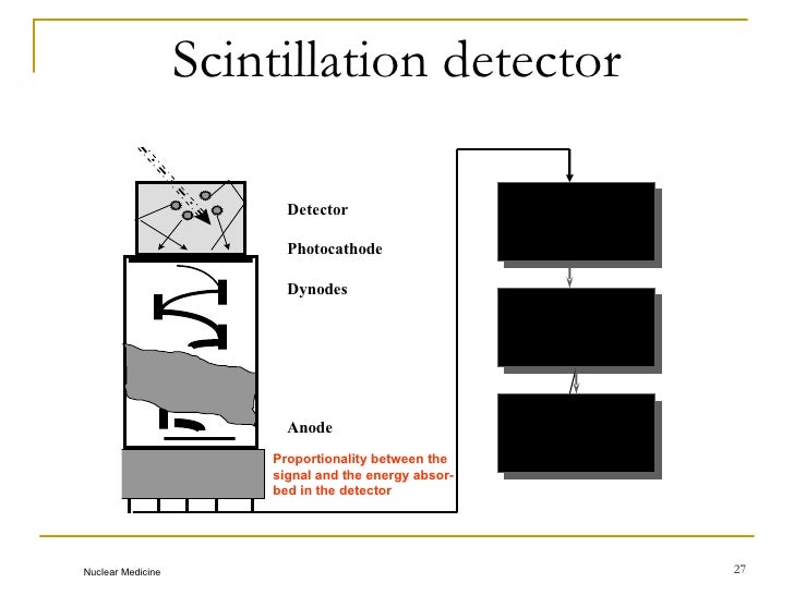 NonImaging Devices in Nuclear Medicine