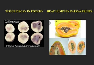 Non infectious and latrogenic diseases | PPTX