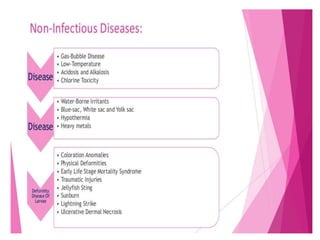 Non infectious disease | PPTX