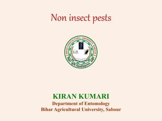 Non insect pests
KIRAN KUMARI
Department of Entomology
Bihar Agricultural University, Sabour
 