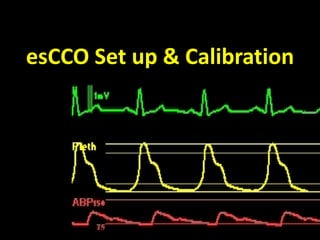 esCCO Set up & Calibration
 