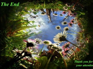 The End
Thank you for
your attention
 